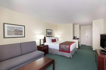 Ramada Plaza Airport and Conference Centre - 29