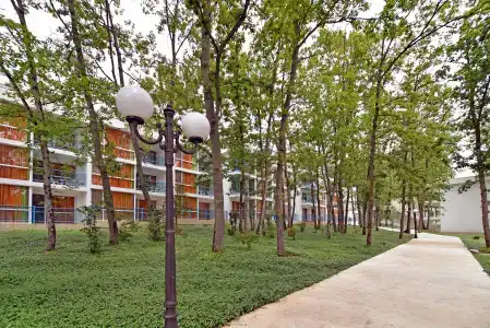 Forest Beach - 21
