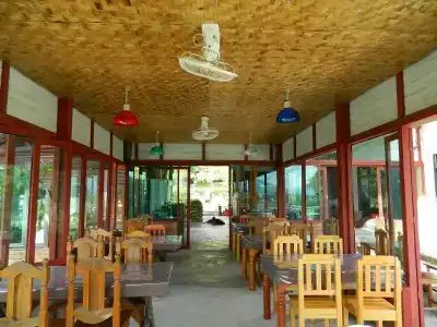 Pai Iyara - 15