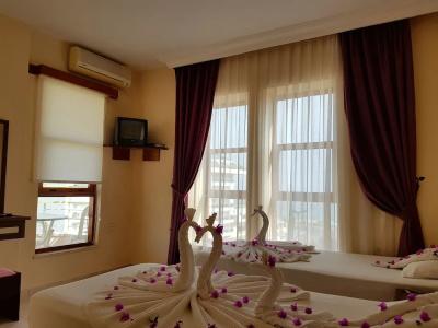 Palmen Apart - 104
