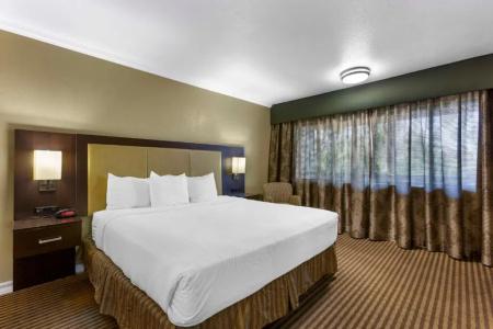 Best Western Royal Sun Inn & Suites - 93