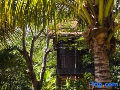 Paradise Island - 142