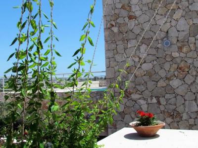 Edem Resort - 46