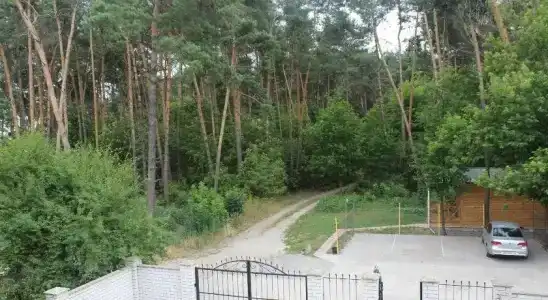 Веста - 10