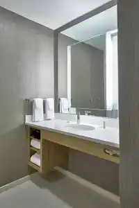 SpringHill Suites Charlotte at Carowinds - 18