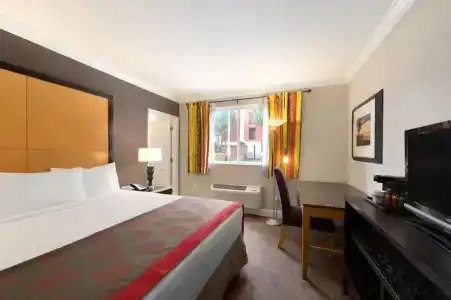 Ramada by Wyndham Miami Springs/Miami International Airport - 27