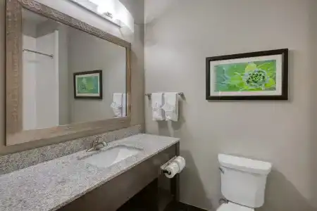 Best Western Plus Tech Medical Center Inn - 81