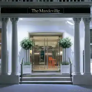The Mandeville - 27