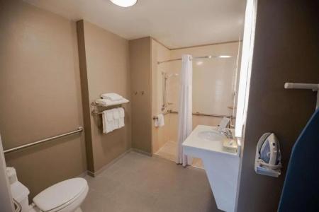 Sonesta Es Suites Baton Rouge - 74