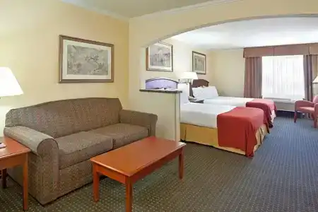 Holiday Inn Express & Suites Tucson Mall, An Ihg - 81