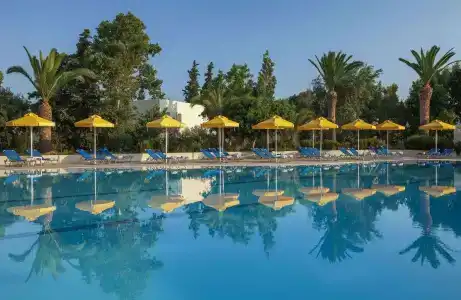 Kipriotis Hippocrates - Adults Only - 15