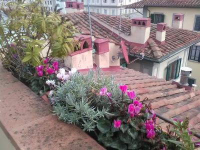 Antica Dimora Firenze - 10