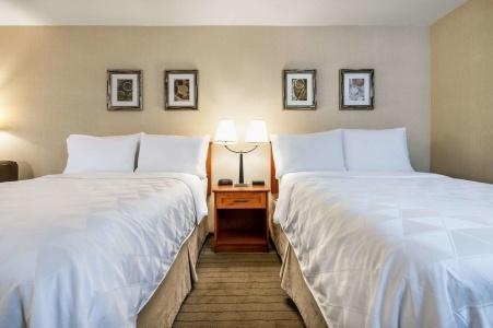 Allure & Conference Centre, Ascend Collection - 4
