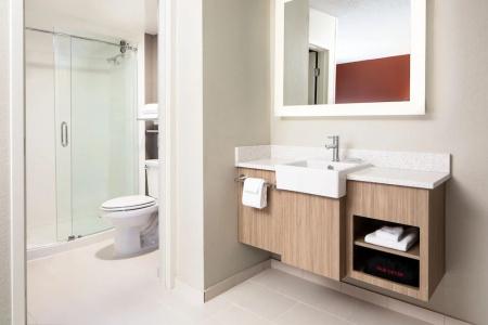 SpringHill Suites by Marriott Dallas Downtown / West End - 58