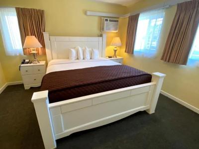 Hollywood Celebrity - 23