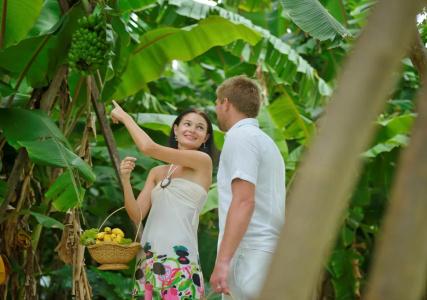 Sun Island Resort & Spa - 25