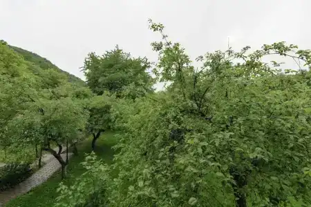 Bogolvar Retreat Resort - 111