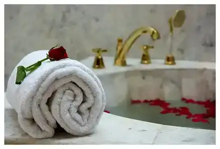 Buena Vista Luxury Garden Spa Resort - 41