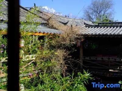 Lijiang Lazy Tiger Inn - 48