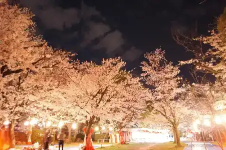 The Evergreen Hostel 長期ステイ歓迎 エバーグリーンホステル - 24