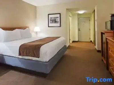 Best Western Plus Bayside Inn - 48