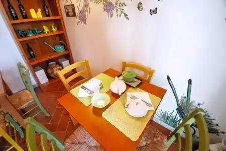 Gatto Bianco Tizzauli - 21