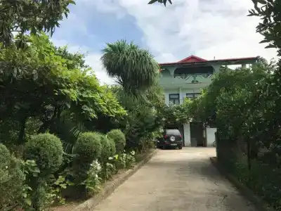 Green House - 8
