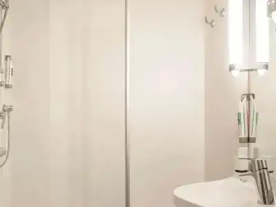 Ibis Cornella - 13