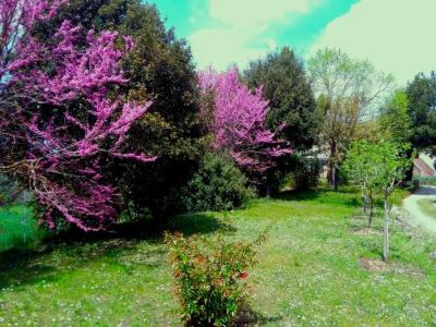 La Vittoria 10 – La Soglia della Val d’Orcia - 162