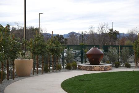 Sheraton Redding at the Sundial Bridge - 22