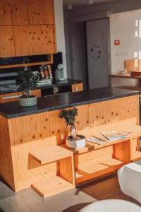 Eco Boutique Ams Beagle - 20