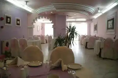 Amman Orchid - 11
