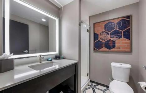 Vib Best Western Denver Rino - 64