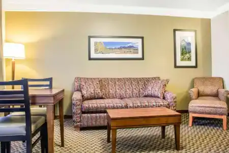 Comfort Inn & Suites - 70