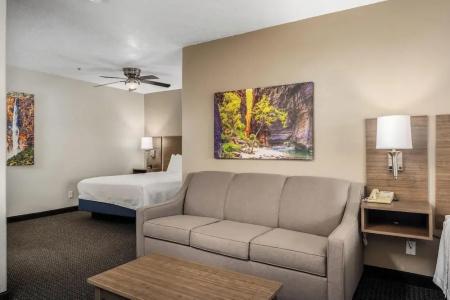 St. George Inn and Suites - 54