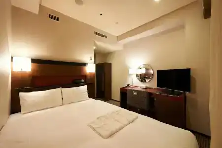Sotetsu Fresa Inn Tokyo-Akasaka - 17