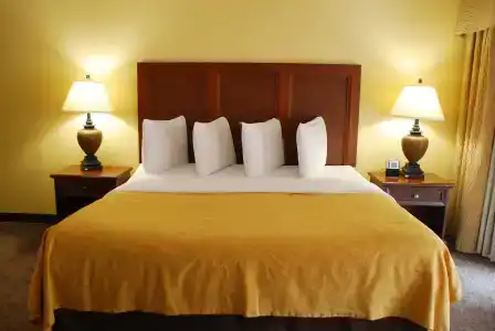 Coconut Cove All Suite - 5