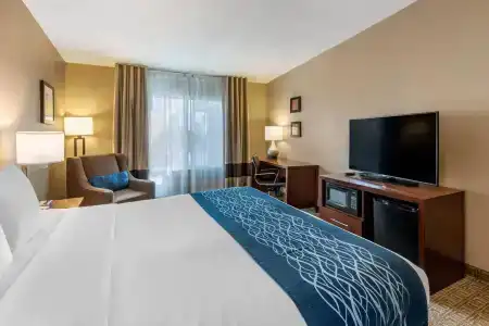 Comfort Inn & Suites Beach - 37