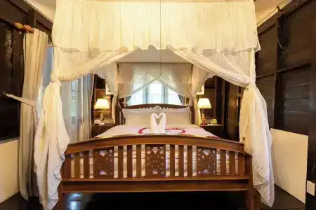 Mango T. Villa Chiangmai - 40