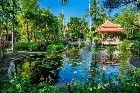 Duangjitt Resort And Spa - Sha Plus - 34