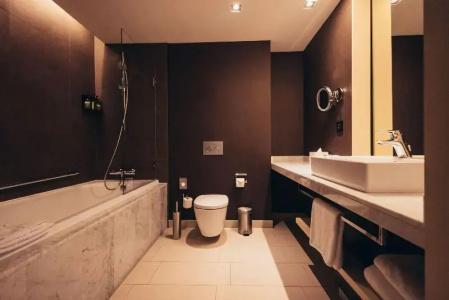 Crowne Plaza Geneva, An Ihg - 64