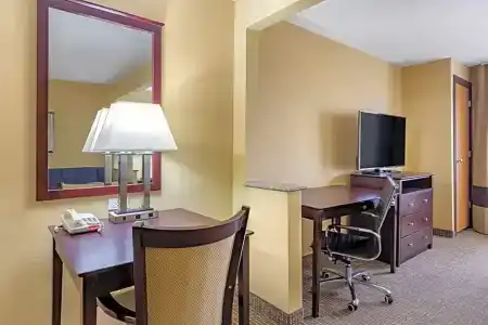 Comfort Inn & Suites - 60