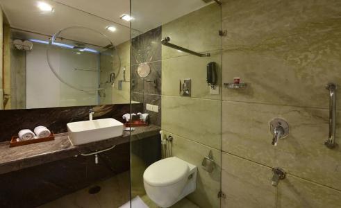 Lords Plaza Jaipur - 6