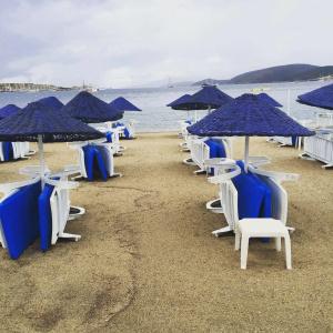 Nagi Beach - 13