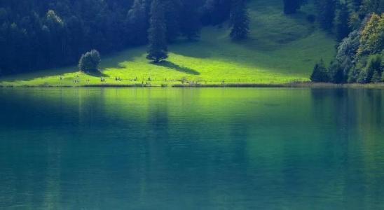Restaurant Alatsee - 13