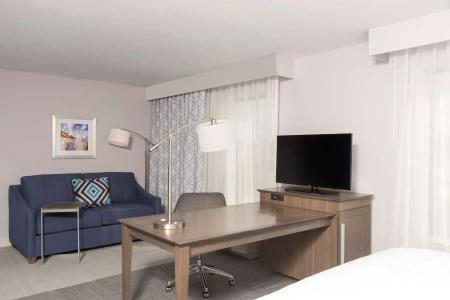 Hampton Inn and Suites - 29
