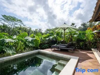 Villa Semana & Spa - 210
