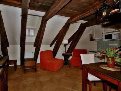 Residence U Mecenáše - 95