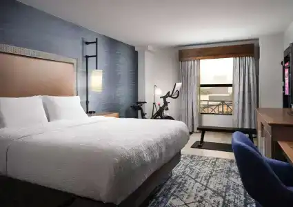 Hampton Inn & Suites Austin-Downtown/Convention Center - 60