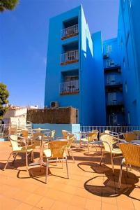 Parrots Sitges - 19